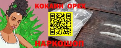 индика Партизанск