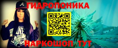 молекула духа Пенза