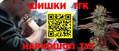 индика Партизанск
