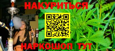 индика Партизанск