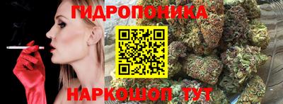 индика Партизанск