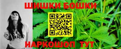 индика Партизанск