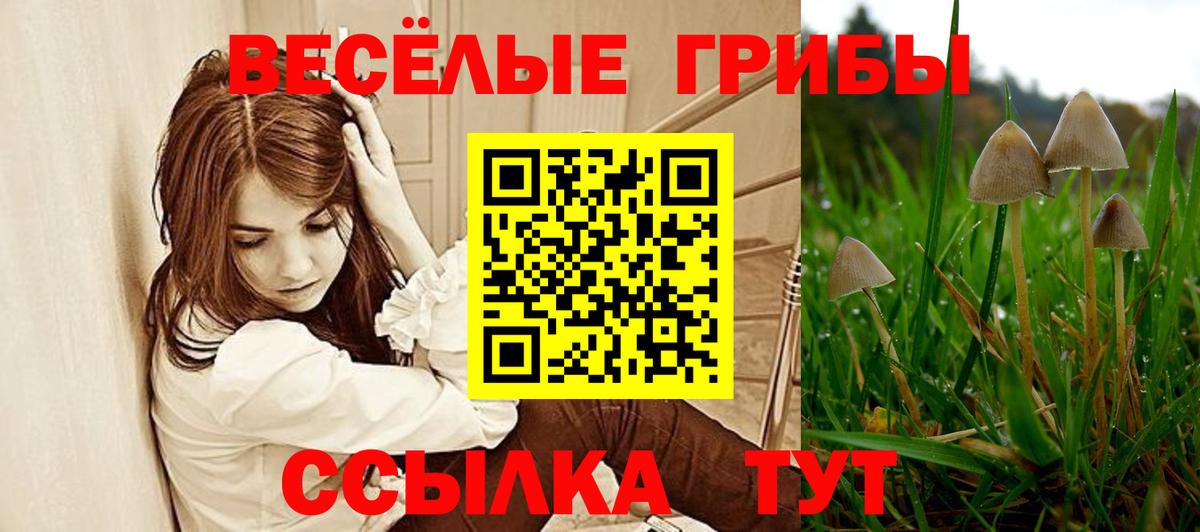 Псилоцибиновые грибы MAGIC MUSHROOMS  Вход с VPN  Барабинск 